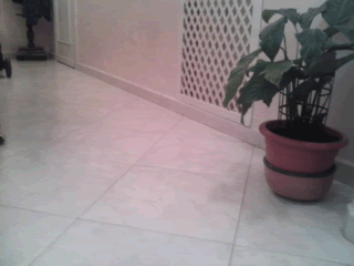 Posa di nuovo pavimento su vecchio pavimento