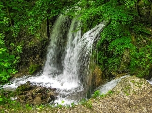 Acqua viva - Coral Mine